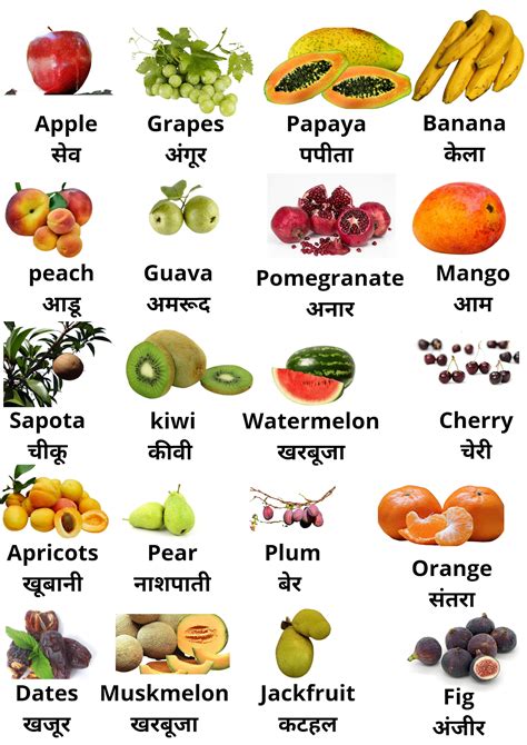 winter fruits name in hindi|fruits name in hindi and english list.